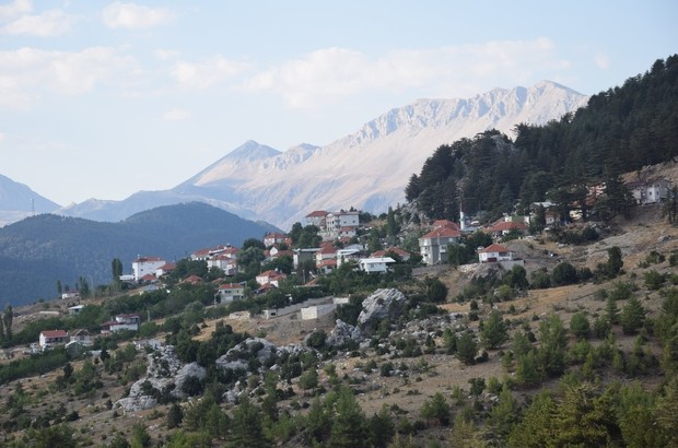 Söğüt Yaylası panoramik yeşil manzarası