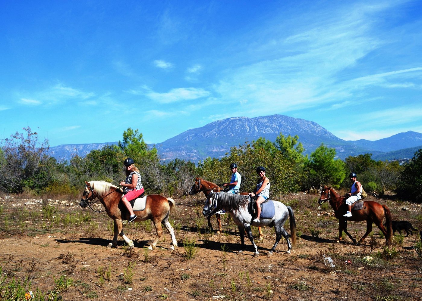 Alanya At Binme Turu